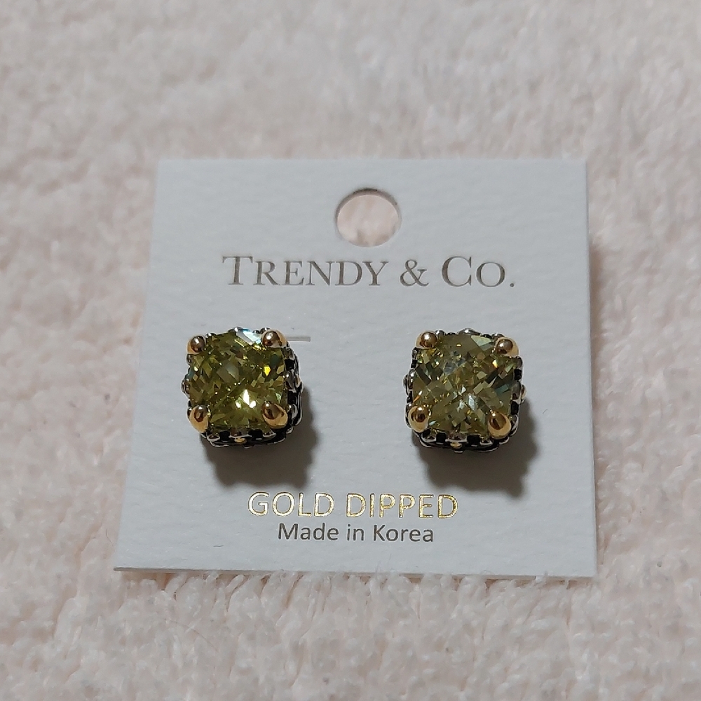 Gold Dipped Earrings